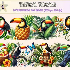 Tropical Toucans Clipart - 30 PNG Exotic Bird Graphics, Colorful Jungle Toucan Print Illustrations, Instant Digital Download, Commercial Use