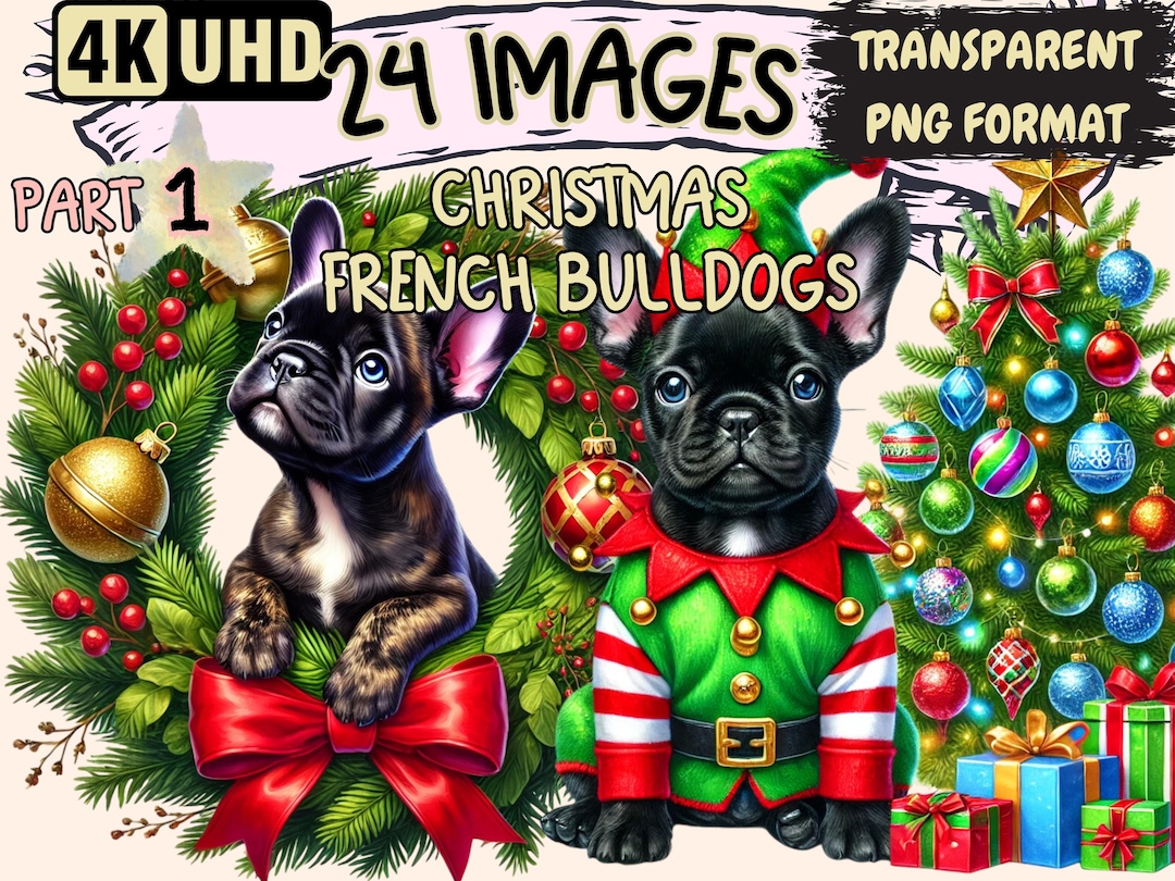 Christmas french bulldog book