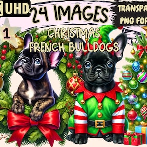 Christmas French Bulldogs Clipart - 24 PNG Festive Dog Illustrations, Holiday-Themed Art, Instant Digital Download, Unlimited Commercial Use
