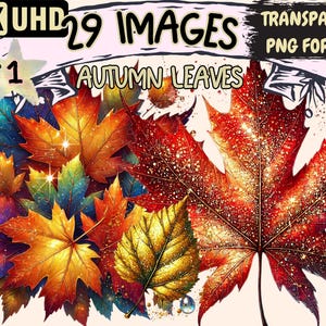Autumn Leaves Clipart - 29 PNG Fall Foliage Illustrations, Cozy Seasonal Art, Instant Digital Download, Unlimited Commercial Use for Crafts