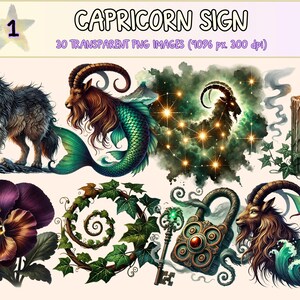 Capricorn Sign Clipart - 30 PNG Zodiac Symbol Graphics, Celestial Astrology Printable Illustrations, Instant Digital Download,Commercial Use
