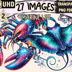 Marine Life (P2) Clipart - 27 PNG Ocean Creature Illustrations, Sea Life Art, Instant Digital Download, Unlimited Commercial Use for Crafts
