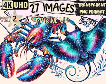 Marine Life Clipart – 27 Ocean Creature PNG Illustrations (Digital Download)