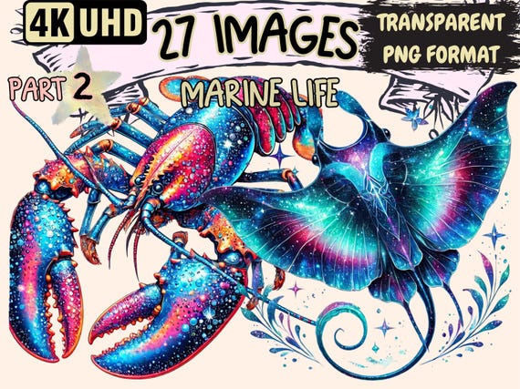 Marine Life Clipart – 27 Ocean Creature PNG Illustrations (Digital Download)