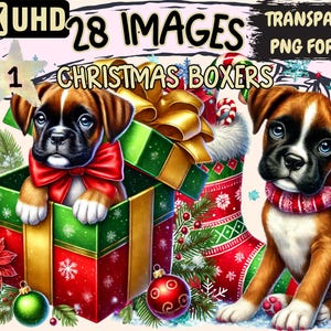 Christmas Boxers Clipart - 28 PNG Festive Dog Illustrations, Holiday-Themed Art, Instant Digital Download, Unlimited Commercial Use Crafts