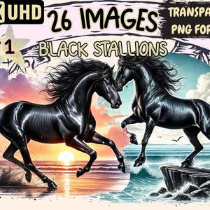 Black Stallions Clipart - 26 PNG Dark Horse Illustrations, Equestrian Art, Instant Digital Download, Unlimited Commercial Use for Crafts