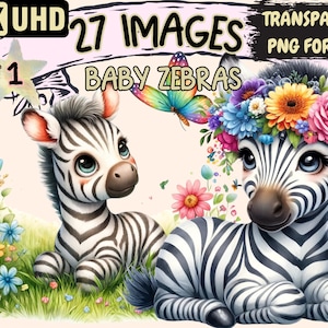 Baby Zebras Clipart - 27 PNG Adorable Zebra Graphics, Cute Printables, Instant Digital Download, Unlimited Commercial Use for Crafts Designs