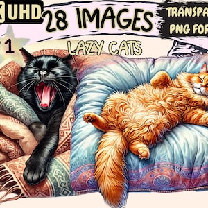 Lazy Cats Clipart - 28 PNG Cute Relaxing Feline Illustrations, Cozy Cat Art, Instant Digital Download, Unlimited Commercial Use for Crafts