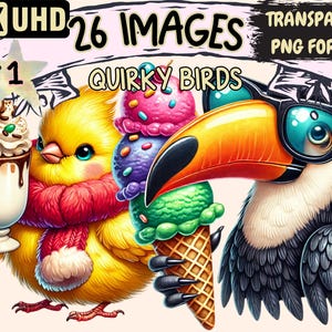 Quirky Birds Clipart - 26 PNG Fun Bird Graphics, Whimsical Animal Printables, Instant Digital Download, Unlimited Commercial Use for Crafts