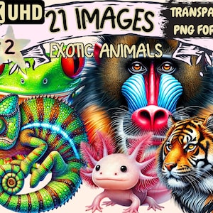 Exotic Animals (P2) Clipart - 21 PNG Unique Wildlife Illustrations, Jungle and Safari Art, Instant Digital Download,Unlimited Commercial Use