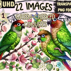 Puede incluir: Una ilustración digital de tres conures de mejillas verdes posados en una rama florida. Las aves son verdes con acentos rojos y amarillos. El fondo es rosa claro con flores blancas.