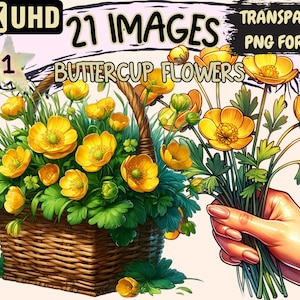 Buttercup Flowers Clipart - 21 PNG Yellow Flowers Graphics, Beautiful Floral Printables, Instant Digital Download, Unlimited Commercial Use