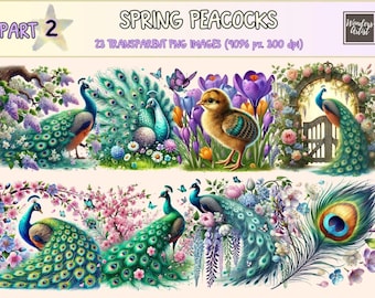 Spring Peacocks Clipart – Elegant Floral Bird PNG Illustrations (Digital Download)