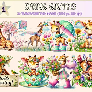 Spring Giraffes Clipart - 36 PNG Cute Animal Graphics, Floral Giraffe Printable Illustrations, Instant Digital Download, Commercial Use