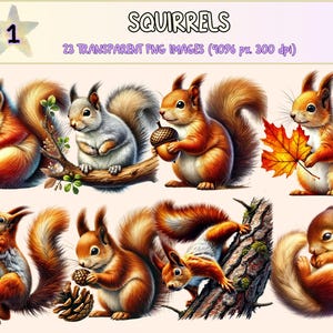 Squirrels (P1) Clipart - 23 PNG Woodland Nature Animal Graphics, Cute Squirrel Print Illustrations, Instant Digital Download, Commercial Use