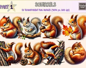 Squirrels Clipart – 23 PNG Woodland Animal Graphics (Digital Download)