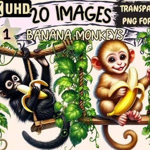 Banana Monkeys Clipart - 20 PNG Playful Monkey Illustrations, Tropical Banana-Themed Art, Instant Digital Download, Unlimited Commercial Use