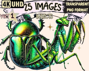 Insects Clipart – 25 PNG Bugs Illustrations, Entomology Art (Digital Download)
