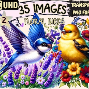 Floral Birds (P2) Clipart - 35 PNG Blossom Bird Graphics, Colorful Flower Printables, Instant Digital Download, Unlimited Commercial Use
