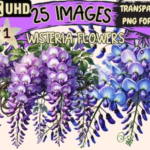 Clipart de fleurs de glycine - 25 illustrations florales élégantes au format PNG, art botanique, téléchargement numérique instantané, utilisation commerciale illimitée pour l'artisanat