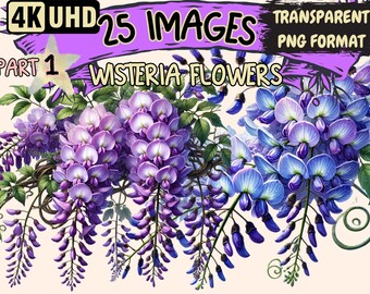 Wisteria Flowers Clipart - 25 PNG Elegant Floral Illustrations, Botanical Art, Instant Digital Download, Unlimited Commercial Use for Crafts