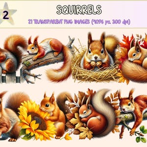 Squirrels (P2) Clipart - 21 PNG Woodland Nature Animal Graphics, Cute Squirrel Print Illustrations, Instant Digital Download, Commercial Use