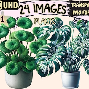 Plants Clipart - 24 PNG Vibrant Nature Plant Graphics, Beautiful Greenery Printables, Instant Digital Download, Unlimited Commercial Use
