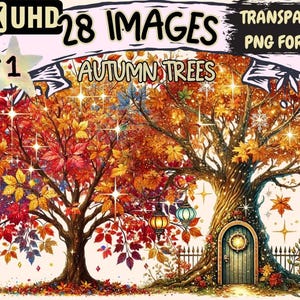 Autumn Trees Clipart - 28 Fall Foliage PNG Illustrations (Digital Download)