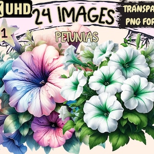 Petunias Clipart - 24 PNG Beautiful Petunia Flower Graphics, Colorful Floral Printables, Instant Digital Download, Unlimited Commercial Use