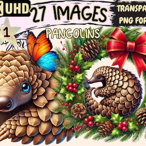 Pangolins Clipart - 27 PNG Cute Pangolin Graphics, Adorable Animal Printables, Instant Digital Download, Unlimited Commercial Use for Crafts