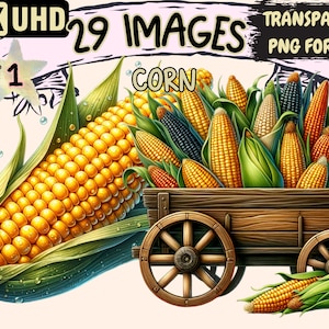 Corn Clipart - 29 PNG Vibrant Corn Graphics, Harvest Printables, Instant Digital Download, Unlimited Commercial Use for Crafts & Designs