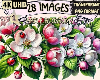 リンゴの花、線画、クリップアートの花、イラスト、リンゴの花の