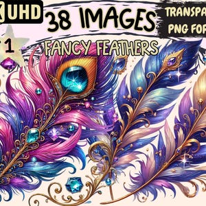 Fancy Feathers Clipart - 38 PNG Elegant Feather Illustrations, Decorative Art, Instant Digital Download, Unlimited Commercial Use for Crafts
