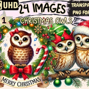 Christmas Owls Clipart - 24 PNG Festive Owl Illustrations, Holiday-Themed Art, Instant Digital Download, Unlimited Commercial Use for Crafts