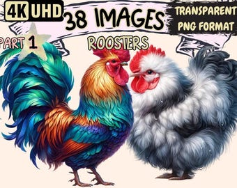 Vibrant Rooster Clipart – 38 PNG Farmhouse Graphics (Commercial Use)