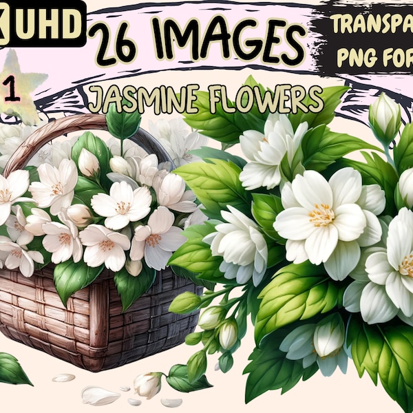 Jasmine Flowers Clipart - 26 PNG Beautiful Flowers Graphics, White Floral Printables, Instant Digital Download, Unlimited Commercial Use