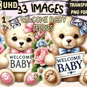 Willkommen Baby Teddies Clipart - 33 PNG entzückende Teddybär Illustrationen für Neugeborene, sofortiger digitaler Download, unbegrenzte kommerzielle Nutzung