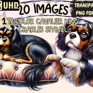 Tricolor Cavalier King Charles Spaniel Clipart - 20 PNG Dog Graphics, Spaniel Printables, Instant Digital Download, Unlimited Commercial Use