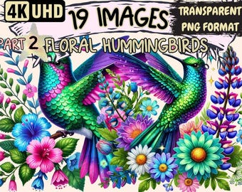 Floral Hummingbird Clipart – 19 PNG Illustrations, Commercial Use (Digital Download)