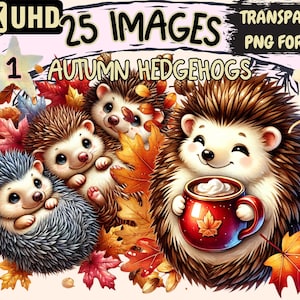 Autumn Hedgehogs Clipart - 25 PNG Cozy Fall  Hedgehog Illustrations, Seasonal Art, Instant Digital Download, Unlimited Commercial Use Crafts