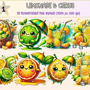 Lemonade & Citrus Clipart - 28 PNG Refreshing Drink Graphics, Oranges Summer Fruit Illustrations, Instant Digital Download, Commercial Use