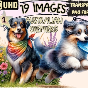 Australian Shepherd Clipart - 19 PNG Cute Dog Illustrations, Herding Dog Art, Instant Digital Download, Unlimited Commercial Use for Crafts