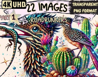 Roadrunner Bird Clipart – 22 PNG Wildlife Illustrations (Digital Download)