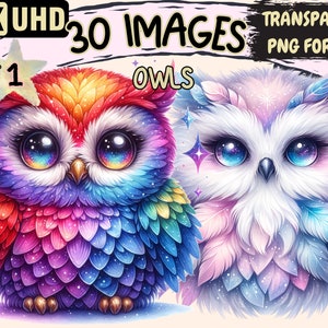 Owls Clipart - 30 PNG Adorable Owl Graphics, Woodland Printables, Instant Digital Download, Unlimited Commercial Use for Crafts & Designs