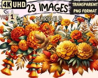 Marigold Clipart – 23 Orange Flowers, Autumn Floral Graphics (PNG Digital Download)