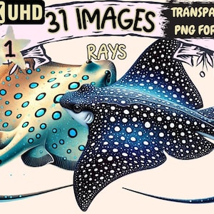 Elegant Ray Fish Clipart – 31 PNG Ocean Illustrations (Digital Download)