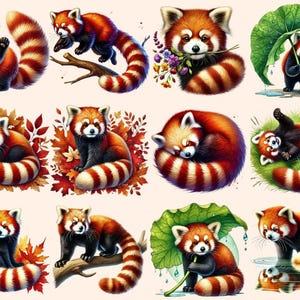 Red Pandas Clipart adorable panda art - Wonders Artist