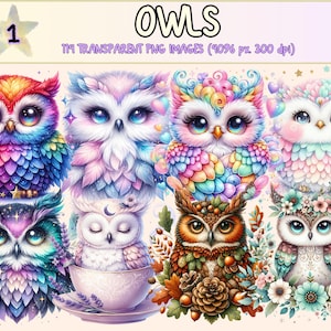 Owls Clipart - 114 PNG Adorable Owl Graphics, Woodland Printables, Instant Digital Download, Unlimited Commercial Use for Crafts & Designs