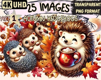Autumn Hedgehog Clipart – 25 Fall PNG Illustrations (Digital Download)