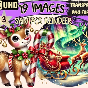 Santa's Reindeer (P3) Clipart - 19 PNG Festive Reindeer Illustrations, Christmas Art, Instant Digital Download, Unlimited Commercial Use
